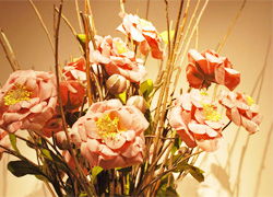 長沙家居飾品風尚 絲露花雨與愛家共筑生活美學