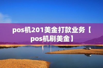 pos機201美金打款業(yè)務【pos機刷美金】